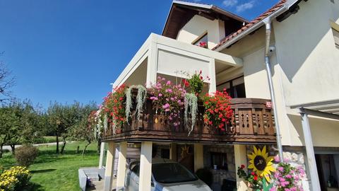 Screen senčila pametno upravljanje