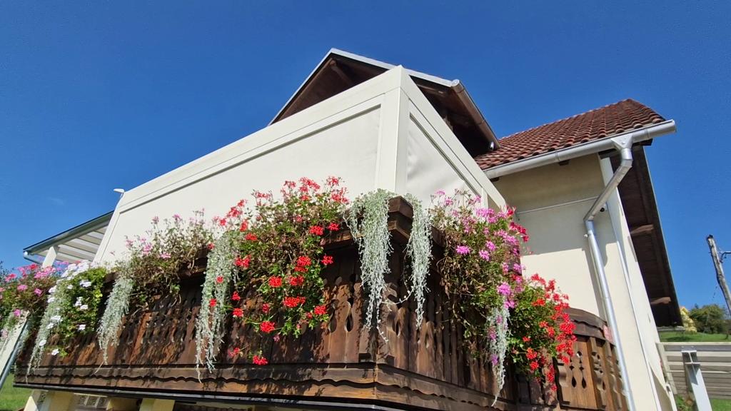 Screen senčilo na oknu